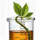 Scientifically Formulated