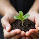 Ethical & Sustainable